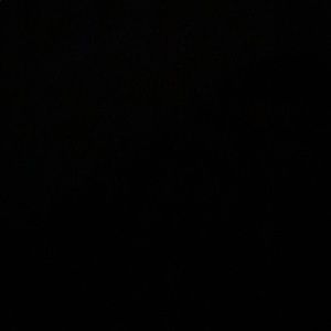 Meet your Posher, Gladys